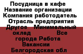 Посудница в кафе › Название организации ­ Компания-работодатель › Отрасль предприятия ­ Другое › Минимальный оклад ­ 14 000 - Все города Работа » Вакансии   . Белгородская обл.,Белгород г.